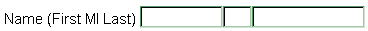 A data entry example where in a row are Name (first mi last) and three boxes.